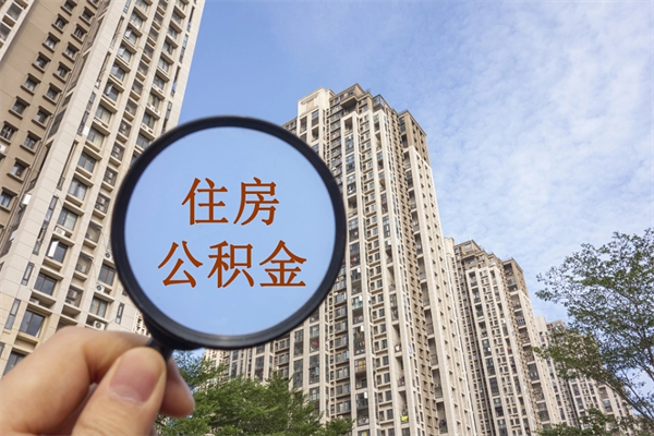 莘县辞职多久公积金可以全部取出来吗（辞职之后公积金多长时间可以取）